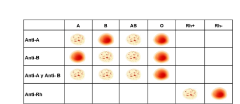 Tabla de grupo sanguíneo y genética
